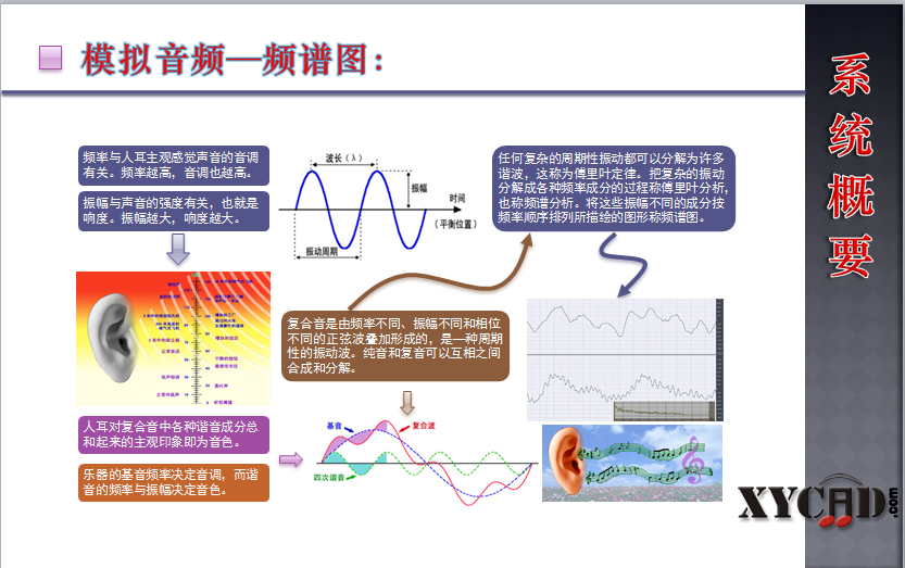 图像 1.png